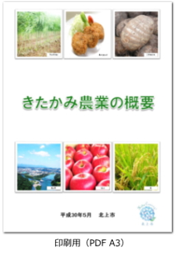 きたかみ農業の概要(印刷用(A3) PDF:1,265KB)