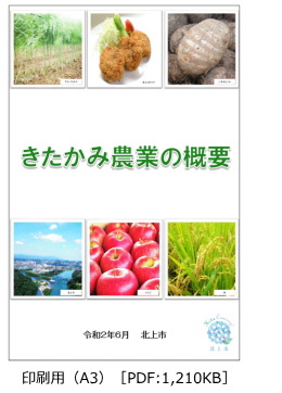 きたかみ農業の概要（印刷用（A3） PDF:1,265KB）